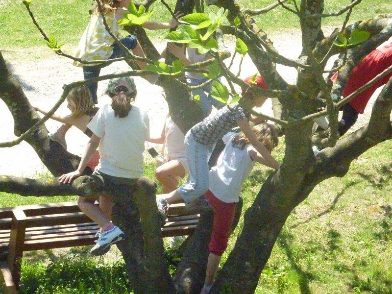 P1020858 [1600x1200].JPG